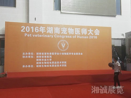 会议及活动执行案例